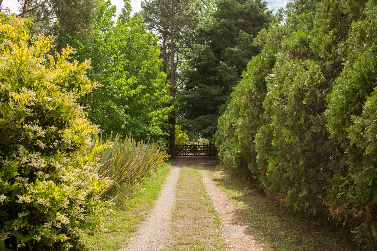 La Chacra - Hotel De Campo & Spa San Pedro  Luaran gambar